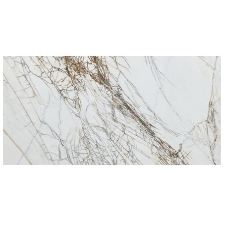 Bianco Rigata Exotic Marble Polished Floor and Wall Tile - Large Format - Livfloors Collection.