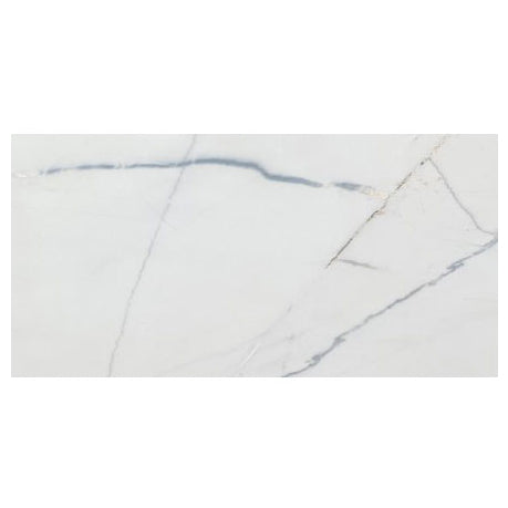 Bianco Rigata Exotic Marble Polished Floor and Wall Tile - Large Format - Livfloors Collection.