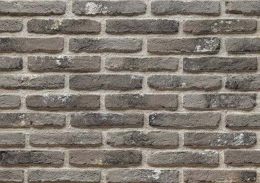Ferrara Sand Manufactured Stone Handmade Brick Veneer - Livfloors Collection.