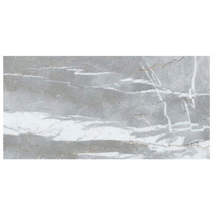 Elegant Astana Gray marble tile showcasing sophisticated natural stone patterns for luxurious interior design.