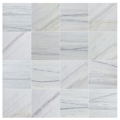 Elegant Bianco Lasa marble tiles showcasing natural beauty and premium quality for sophisticated interior designs.