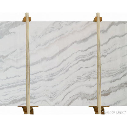 High-quality Bianco Lupo marble slabs showcasing elegant and durable natural stone for premium interior design.