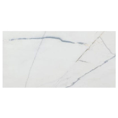 Bianco Rigata Exotic Marble Polished Floor and Wall Tile - Large Format - Livfloors Collection.