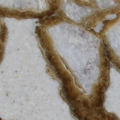 Elegant breccia marble surface showcasing natural stone patterns ideal for luxury interior design and architectural projects.