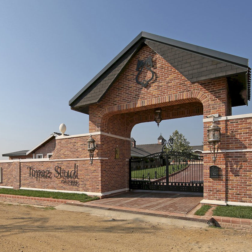 Granulbrick brick veneer showcasing durable exterior cladding with premium texture and design