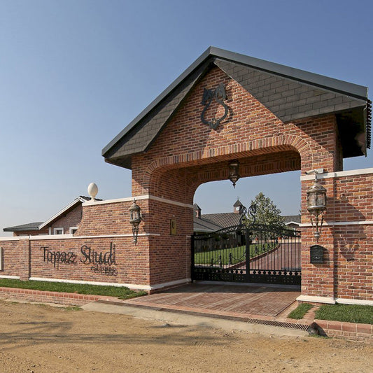 Granulbrick brick veneer showcasing durable exterior cladding with premium texture and design