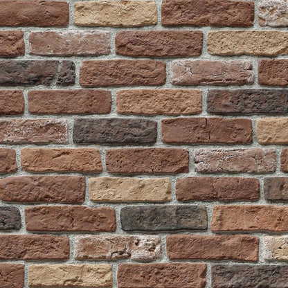 Granulbrick brick veneer showcasing durable exterior cladding with premium texture and design