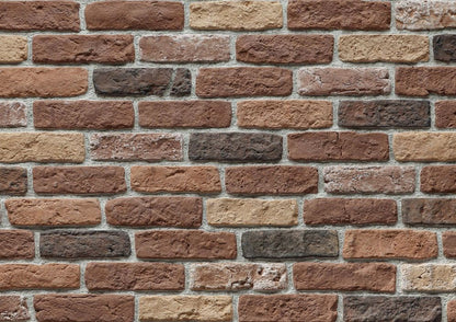 Granulbrick brick veneer showcasing durable exterior cladding with premium texture and design